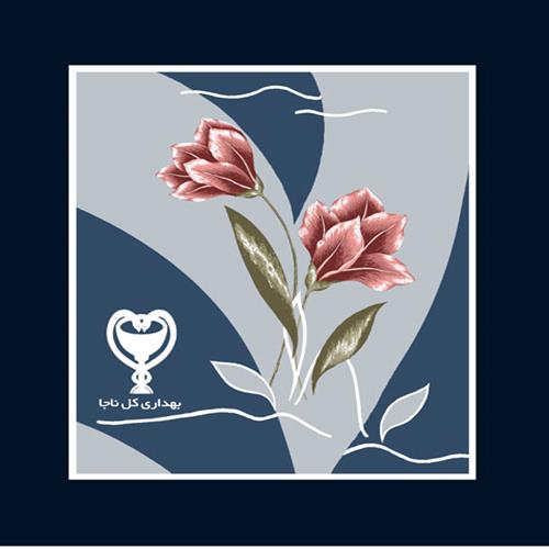 پتوی سفارشی بهداری ناجا گلبافت